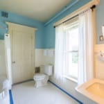 Sheldon Room - bathroom with shower and tub.