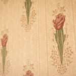 Sheldon Room - wallpaper detail. Sheldon Room - wallpaper detail.