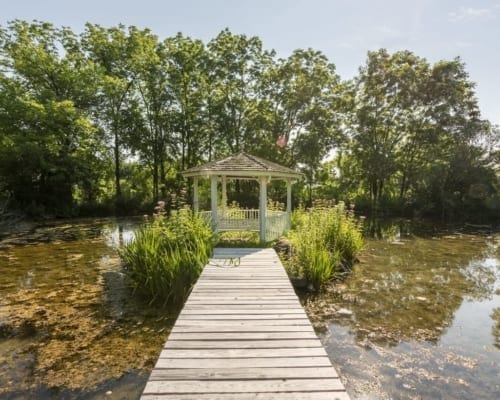 Wooden dock leading to gazebo at White Springs Manor pond.
