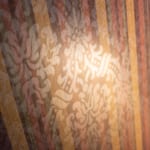 Young Room - curtain detail. Young Room - curtain detail.