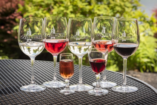 Wine glasses with various types of wine.