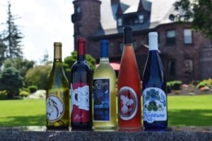 Finger Lakes Wine Tours