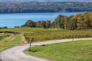 Things to Do in Geneva NY