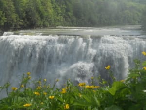 Waterfalls in the Finger Lakes