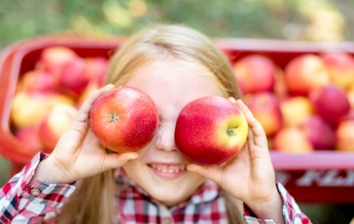 Photo of Child at Apple Orchard